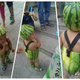 Image for article titled These Are China's Watermelon Kids